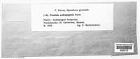 Image Associated With the Occurence